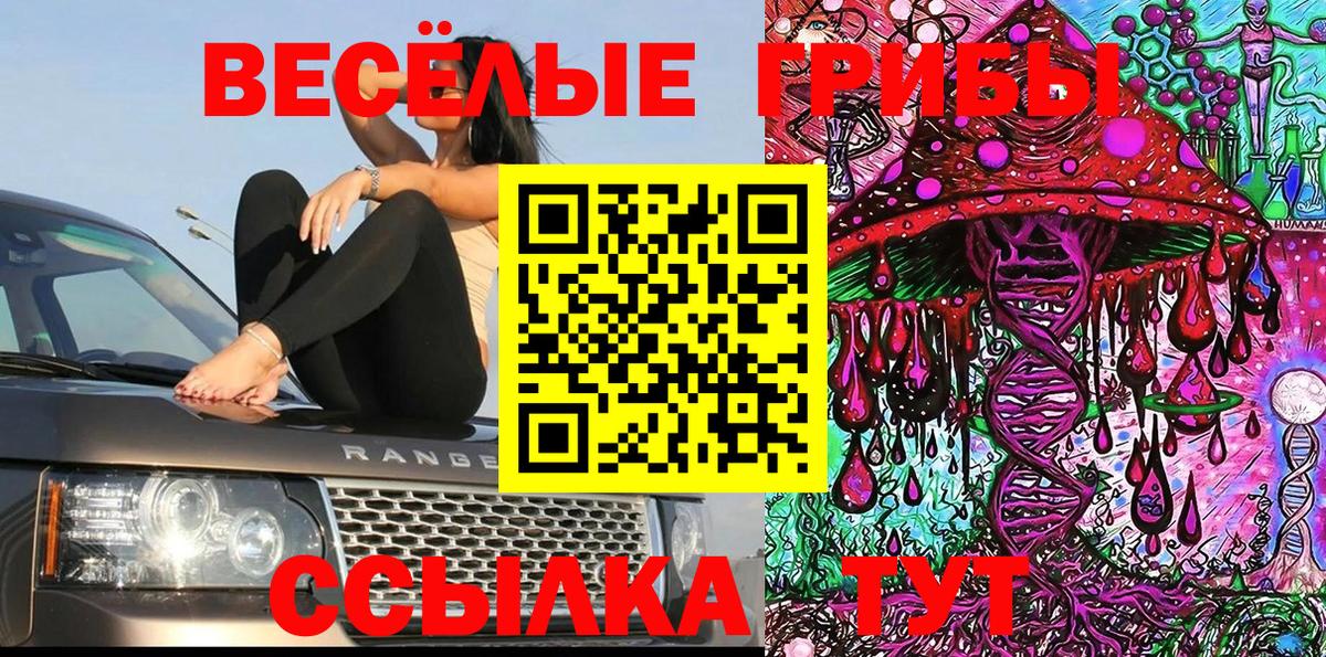 Зеленодольск  Псилоцибиновые грибы Psilocybine cubensis  Вход с VPN 